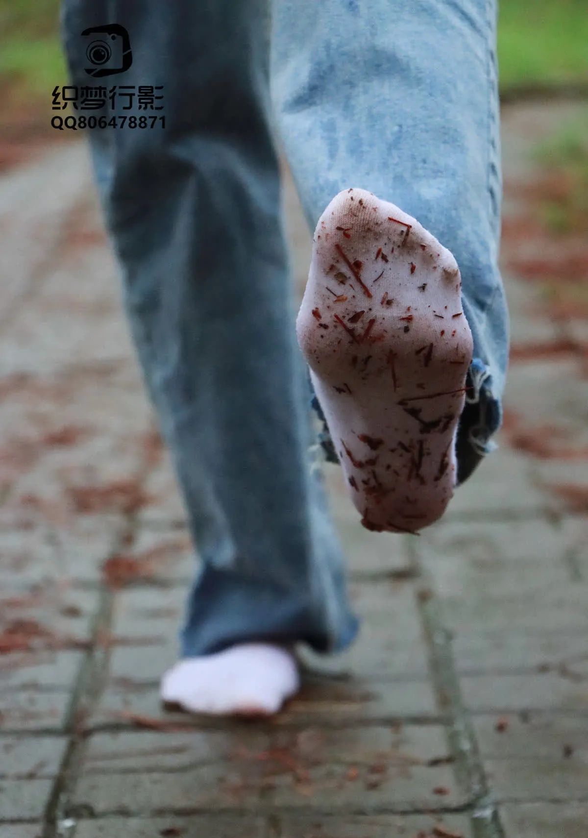 [织梦映像]NO.004_魔法森林-细雨随风燕泥香_0067