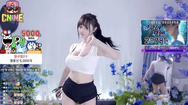 [Korean BJ] yunyeson3015 2025-08-30-妍画集