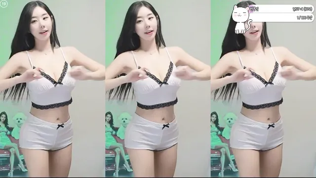 [Korean BJ] gpgpgpgpgpgp 2025-10-22-妍画集