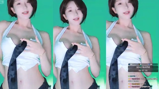 [Korean BJ] rlemaos 2025-11-17-妍画集