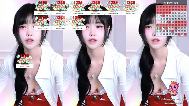 [Korean BJ] dlswldus107 2025-12-24-妍画集