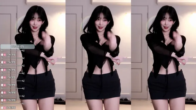 [Korean BJ] dleh0824 2025-11-20-妍画集