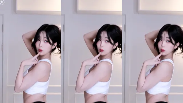 [Korean BJ] dleh0824 2025-11-06-妍画集