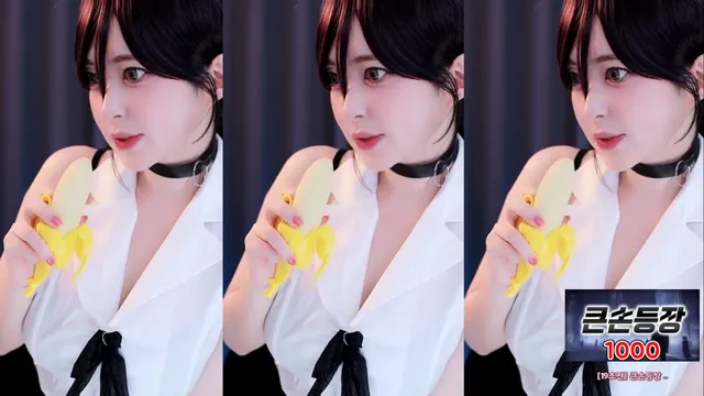 [Korean BJ] flower1023 2025-10-29-妍画集