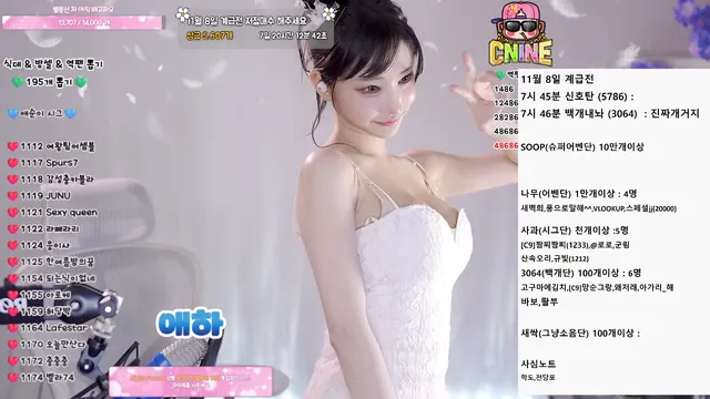 [Korean BJ] yunyeson3015 2025-11-02-妍画集