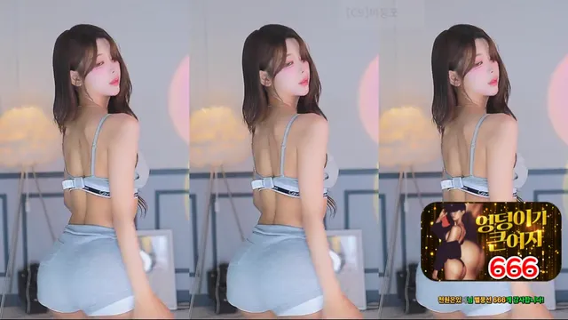 [Korean BJ] dign1461 2025-08-17-妍画集