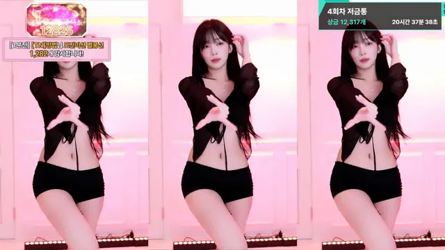 [Korean BJ] dleh0824 2025-08-17-妍画集