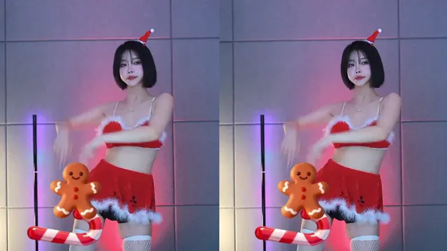 [Korean BJ] gkwjd4822 2025-12-25-妍画集