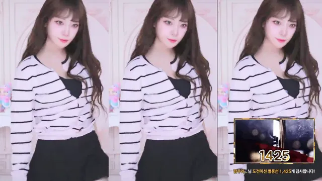 [Korean BJ] damikim 2026-01-17-妍画集