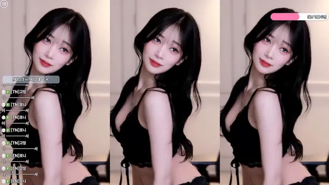 [Korean BJ] dleh0824 2025-12-19-妍画集