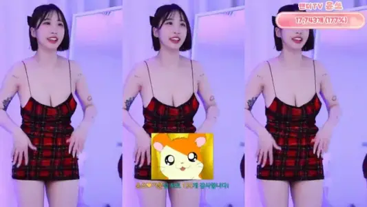 [Korean BJ] yso1004 2025-12-24-秀人网