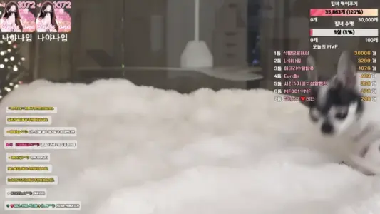 [Korean BJ] homegirl 2026-01-05-秀人网