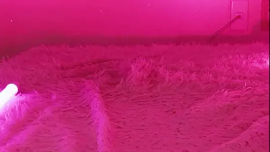 [Korean BJ] heenoo 2026-01-26-秀人网